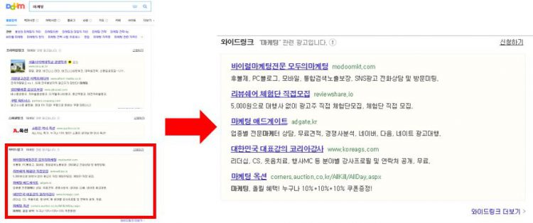 韓国検索エンジンDaumとは_Daum広告