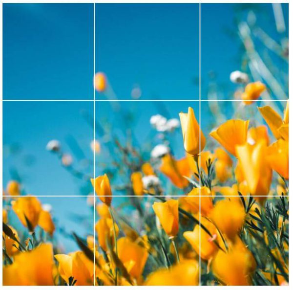 Instagramベストプラクティス