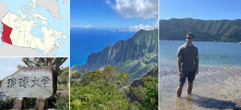 社員紹介コンテンツマーケティングSage back ground