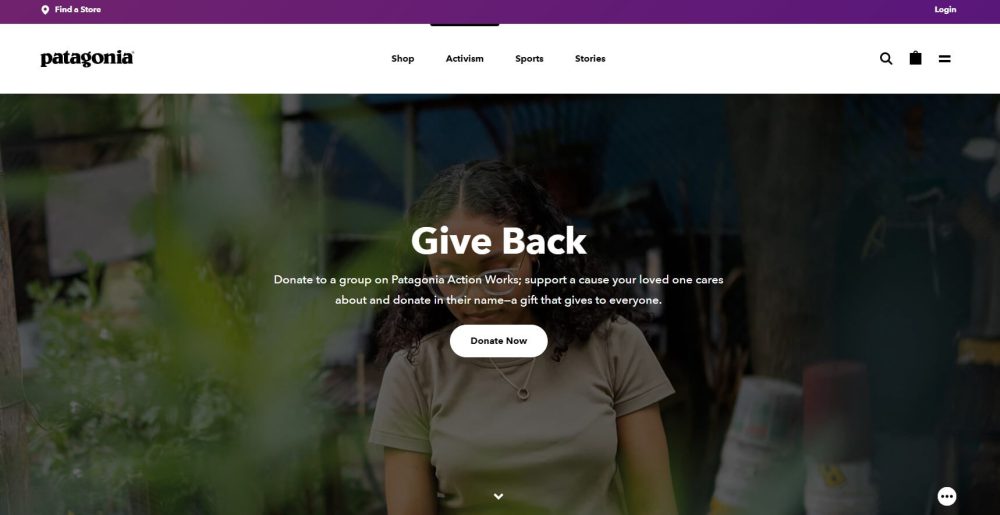patagonia ウェブサイト