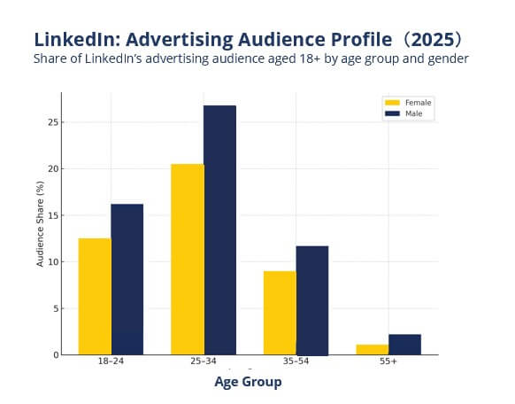 LinkedIn Advertising Audience Profile 2025