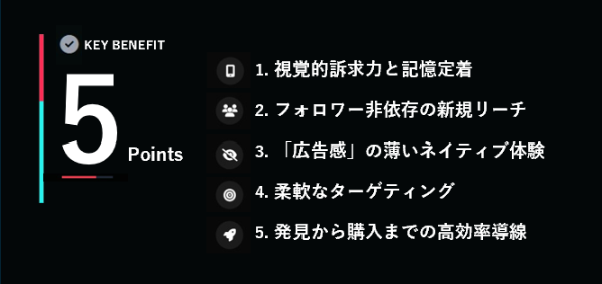 TikTok広告5つのメリット_1